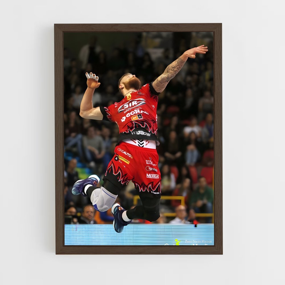 Poster L'Envol d'Ivan – affiche Volleyball (vue 5)